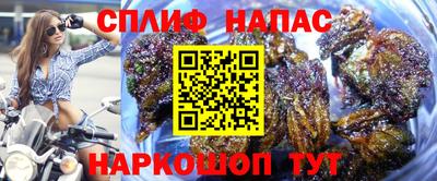 стафф Балахна